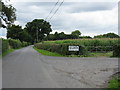 Maize field near The Leasowe in HR6 0LU