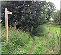 Permissive Footpath to Alkborough Flats in DN15 9JU