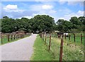 Footpath through Foxburrows Farm in IG6 3ST