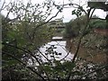 Bridge over a Creek of the Clyst in EX3 0QH