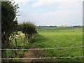 View north from Bryn Gwyn over verdant farmland in LL59 5PW