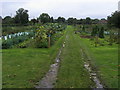 Hughenden Parish allotments in HP15 6EZ