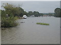 Looking down the Thames towards Bourne End in SL8 5PS