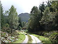 Forestry road in FK21 8SW