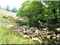 The Afon Twrch Nr Pen-y- wern in SA9 2XY