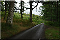 Minor road through woodland below Y Gurn in LD6 5HL