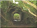 A flooded underpass beneath the old Bryngwyn branch line in LL54 7PH