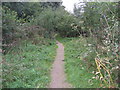 Dronfield - Footpath between Halfacre Lane and Callywhite Lane in S18 1XJ