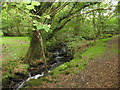 Path along the bank of a small stream below Bodgarad Farm in LL54 7PH