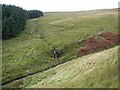 Tributary pours down into the Nant Ceiliog in SA9 1XU