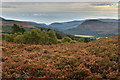 Heather covered hillside on Creag a' Chlamhain in AB35 5UN