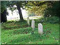 Graves, St Leonard's Church, Whitsbury in SP6 3QG