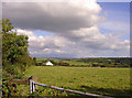 Field near Blaen-waun, Llanglydwen: eastward in SA34 0YR