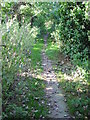Looking S along footpath between Monkton and the River Stour in CT12 4JP