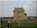 Balgonie Castle, Fife in KY7 6PN
