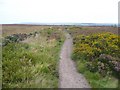 Footpath near Norland Moor, Greetland in HX6 3SD