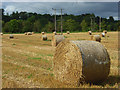 Straw bales, Hambleden in SL7 2HE