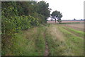 Field edge footpath near High House Farm in IP6 0EJ