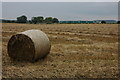 Train passing straw field at Besford in WR8 9ES