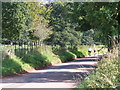 Road to Killerton House, with cyclists in EX5 3LQ