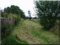 Footpath to Foxhill Banks in BB5 4NQ