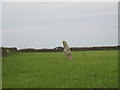 Trevorgans menhir in TR19 6EL