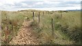 Path through the dunes from Gullane Sands in EH32 0QD