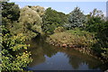 The River Teign from Kingsteignton Bridge in TQ12 3RN
