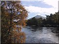 Autumn Colours by the River Tummel in PH16 5PX