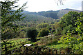 Hillside near Pant-yr-esgair in SY18 6PS