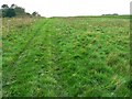 Bridleway, Fyfield Down, west of Manton in SN8 1RU