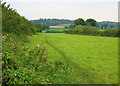 2008 : Pasture and footpath near Little Snarlton Farm in SN12 7FL