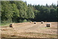 Bales by the Woodland in TQ12 3DZ