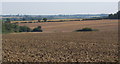 Wide open fields seen from the lane west of Shimpling in IP29 4HD