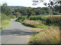 Lane towards Shimpling from the west in IP29 4HD