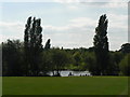 Bexley: poplars alongside Danson Park lake in DA5 1DL