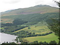 Meall Greigh from Drummond Wood above Fearnan in PH15 2NY