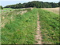 Path near Knowle Village in PO17 5GE