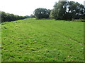 Path across fields beside Wallington River in PO17 5BL