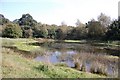 Pond at Wycke Meadow in CM9 6NE