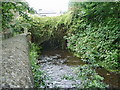 River Darwen in BB3 1JX