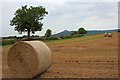 Harvested Field, Near Ayton Firs in TS9 6PY