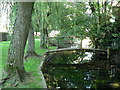 Winterborne Zelston: footbridge over river in DT11 9EX
