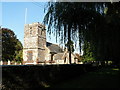 Winterborne Zelston: weeping willow by church in DT11 9EX