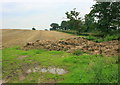 2008 : Harvested field near Sandridge Park in SN12 7FJ