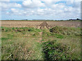 Public Footpath across the old Goxhill Airfield in DN19 7JF