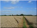 Footpath through wheat, Rockwell End in RG9 6ND