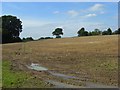 Harvested farmland, Lower Woodend in SL7 2HW