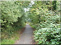 Horsford Walk, Faversham in ME13 7WB