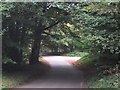 Road Junction in the Woods in EX9 7BR